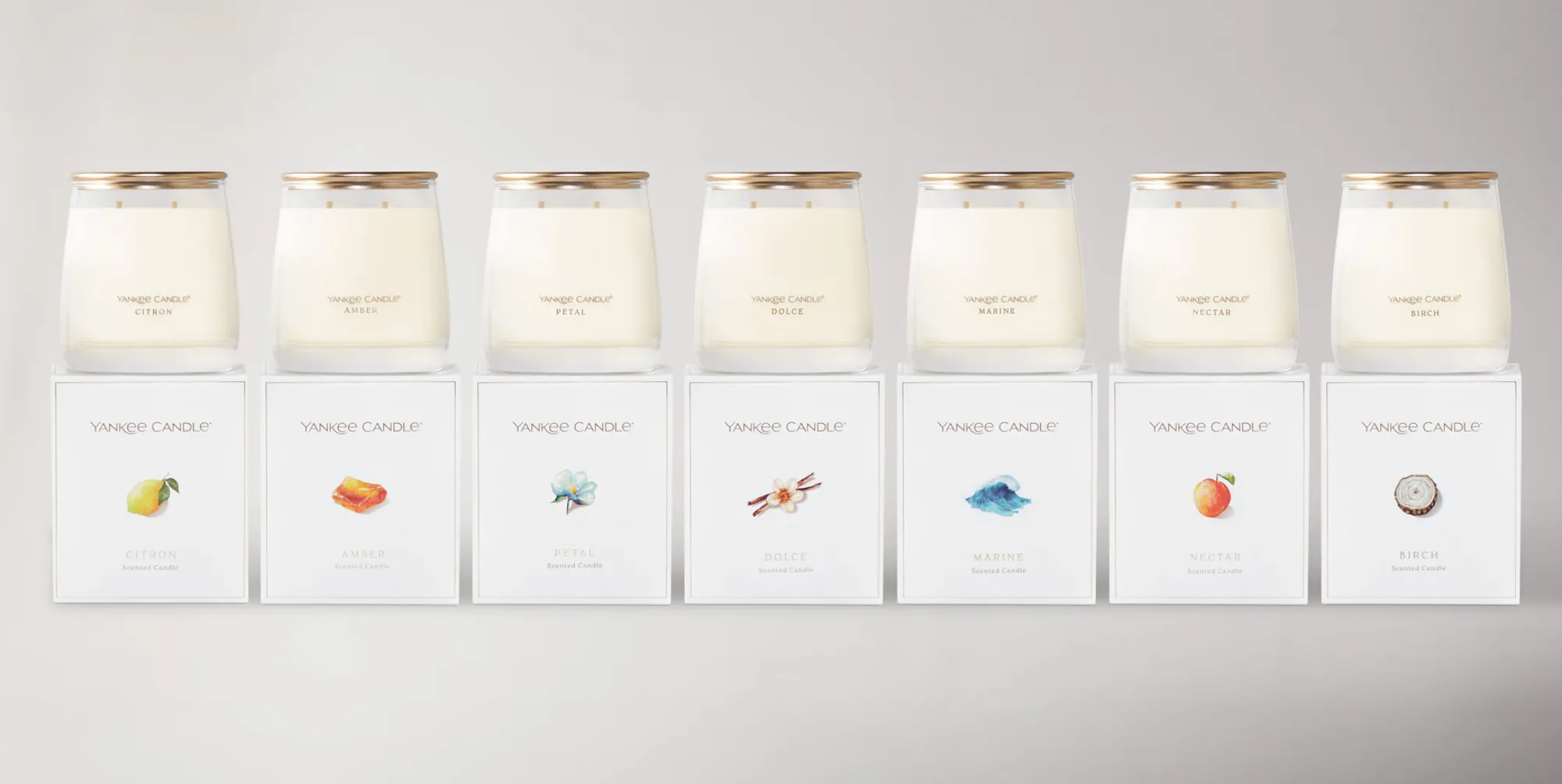 Q4 Full Year 2024 Results