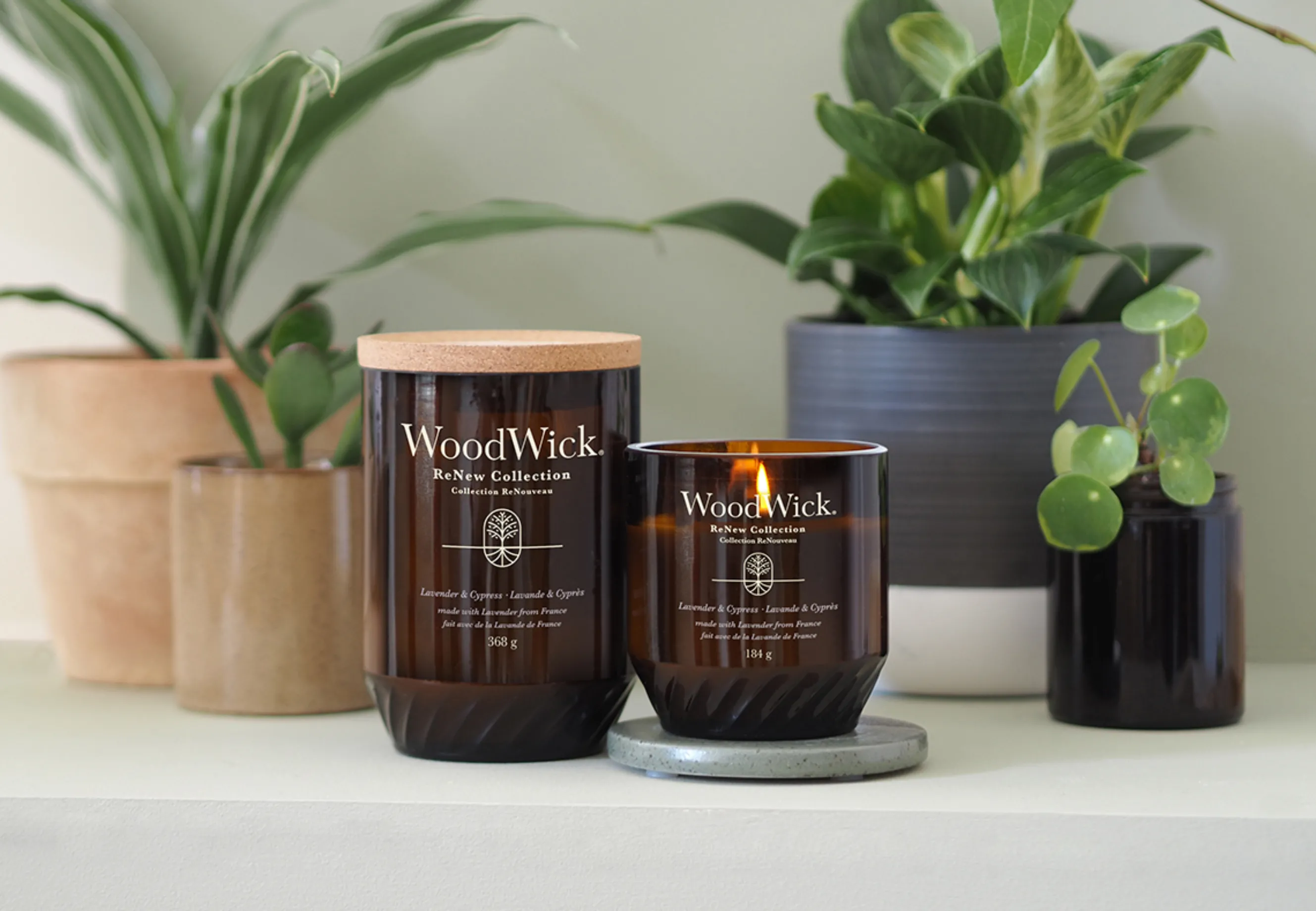WoodWick Image