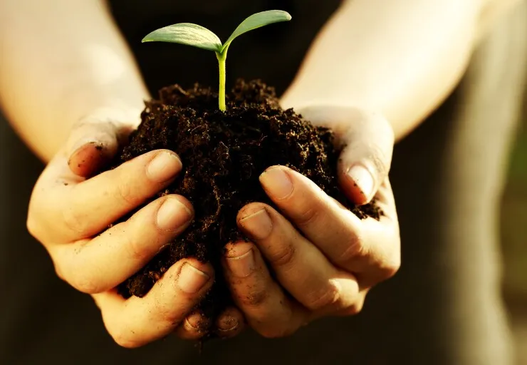 Newell Brands Plants 15,000 Trees in Partnership with the Arbor Day Foundation