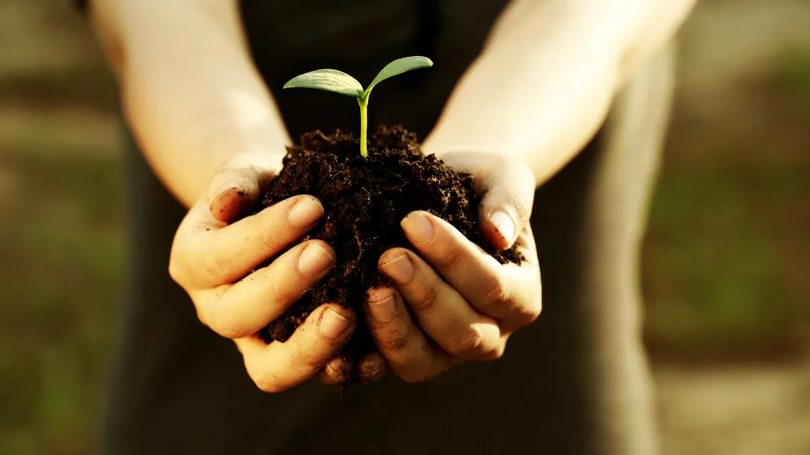Newell Supports Reforestation