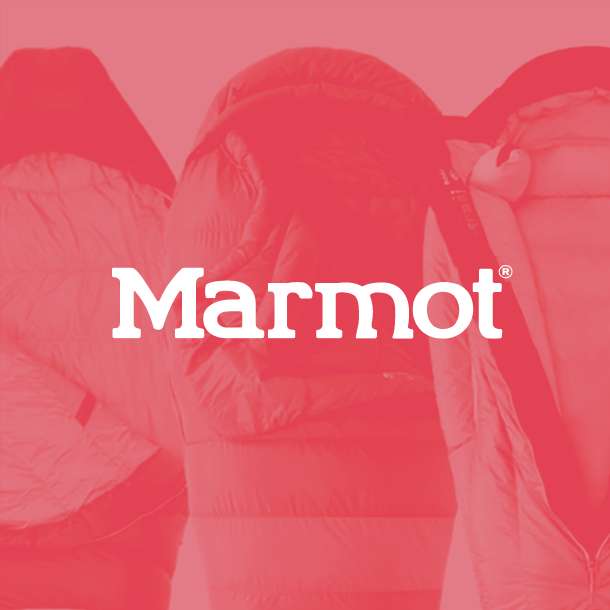 Marmot